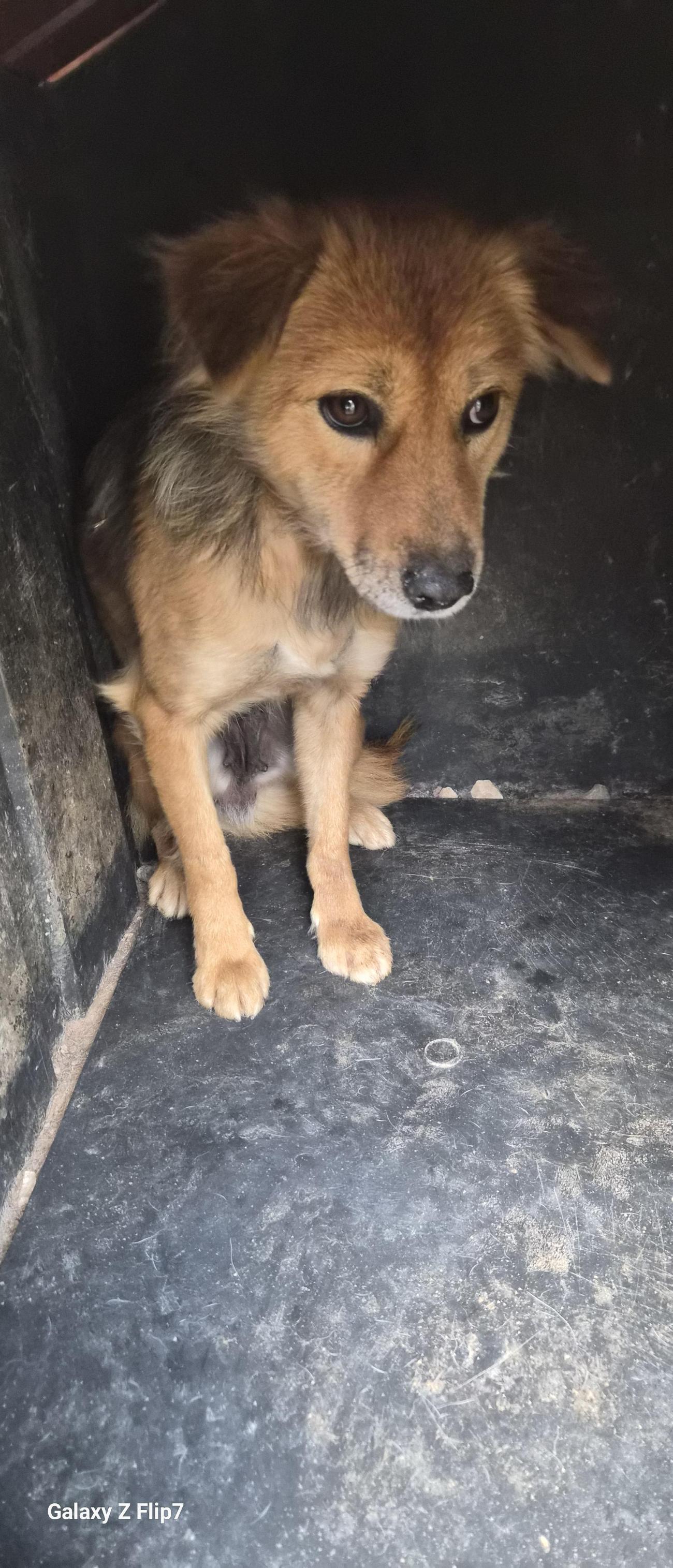 전북말산업복합센터_445471202500537